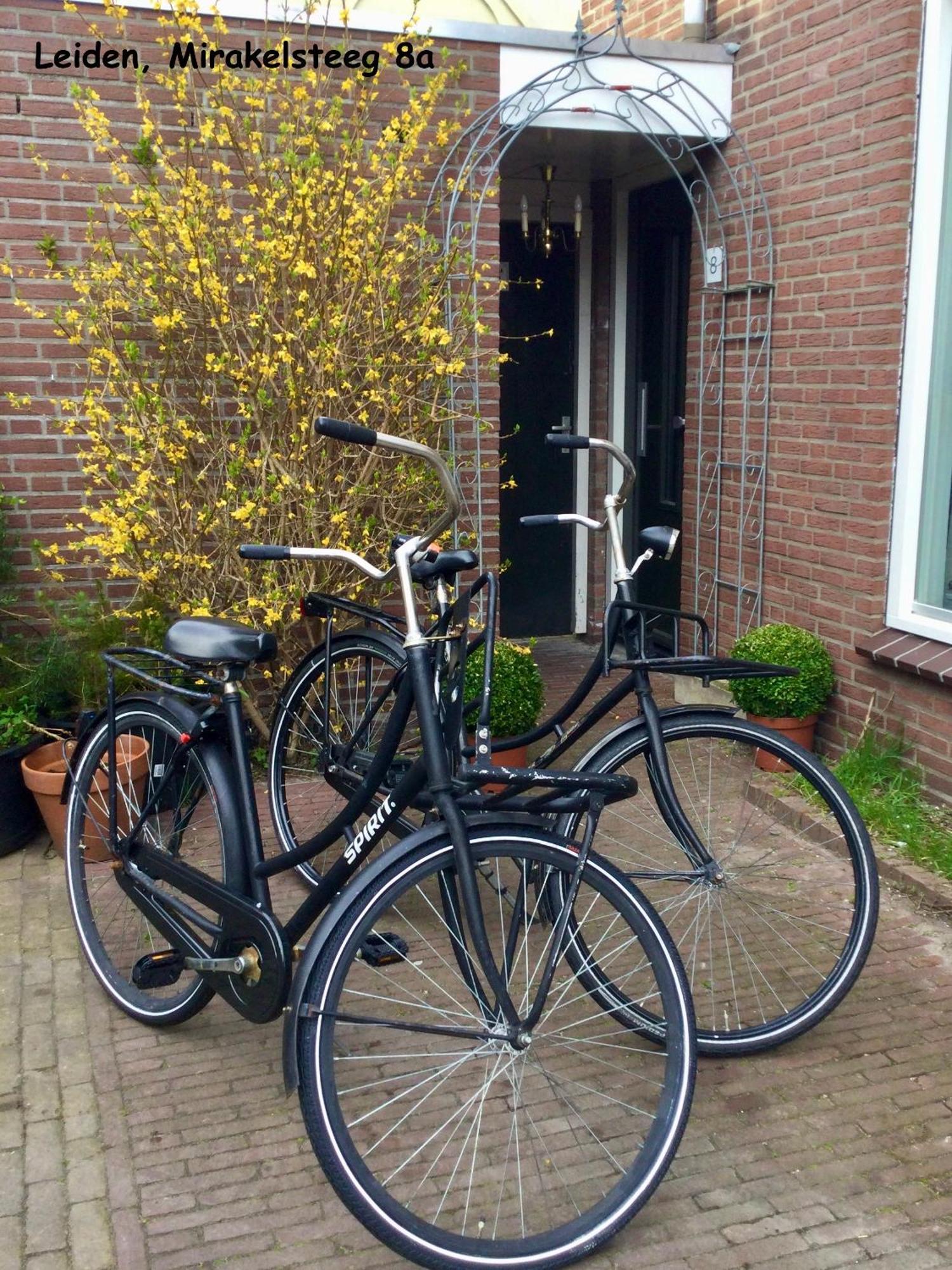 Apartmán Number 8 Leiden Exteriér fotografie